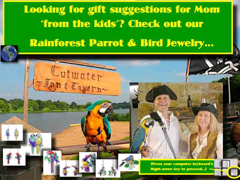 Rainforest Jewelry link