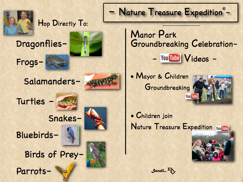 Nature Treasure Expedition Index