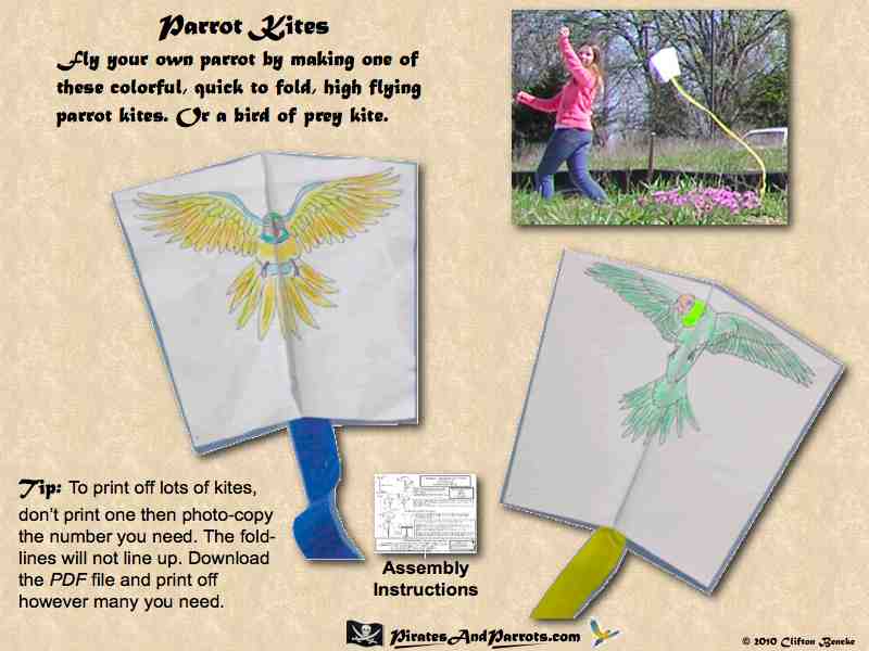 Parrot Kites
